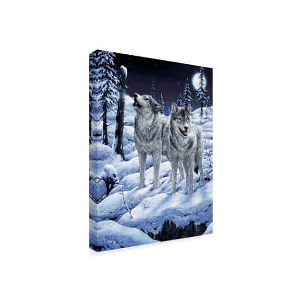 Jeff Tift 'Lunar Calling' Canvas Art,18x24